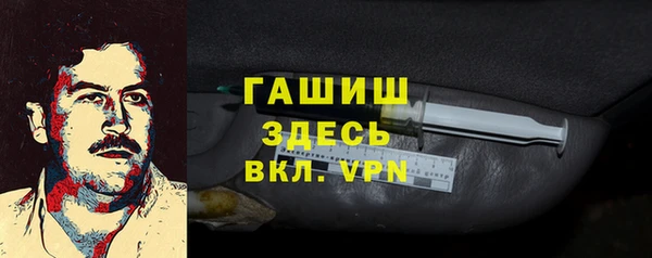 хмурый Арсеньев