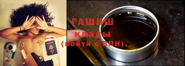 хмурый Арсеньев