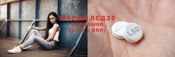 хмурый Арсеньев