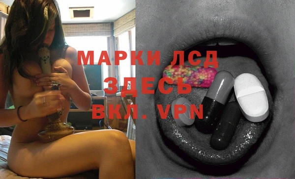 хмурый Арсеньев