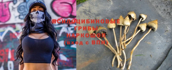 хмурый Арсеньев